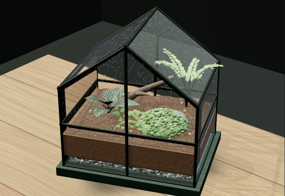 A 3D greenhouse terrarium on a desk: fittonia, fern, moss and driftwood over soil and gravel, its glass beaded with condensation